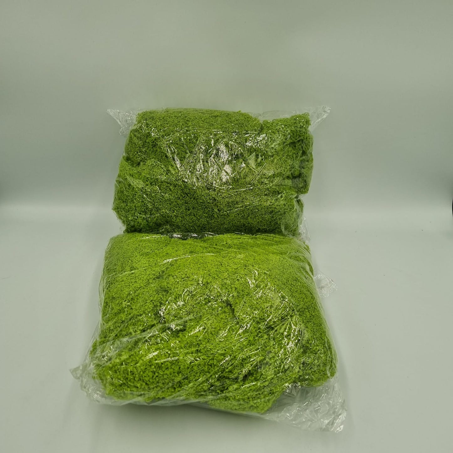 Mech dekoracyjny zielony stabilizowany / barwiony – pakowany 200g
