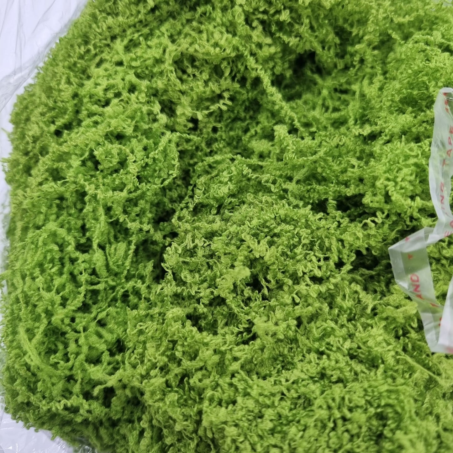 Mech dekoracyjny zielony stabilizowany / barwiony – pakowany 200g