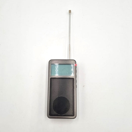 Radio kieszonkowe RADDY RF205 FM Bluetooth 5.3 przenośne